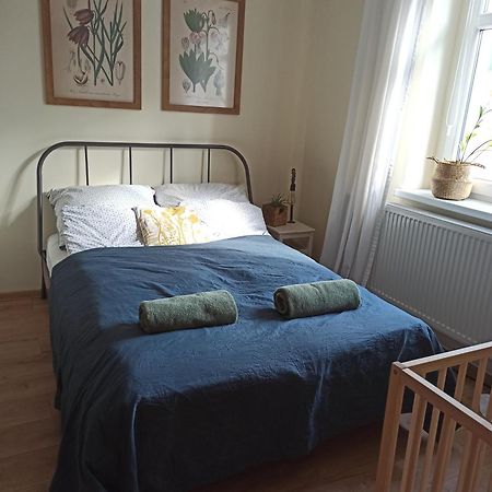 Apartament Przy Wandy Zielona Góra Eksteriør billede